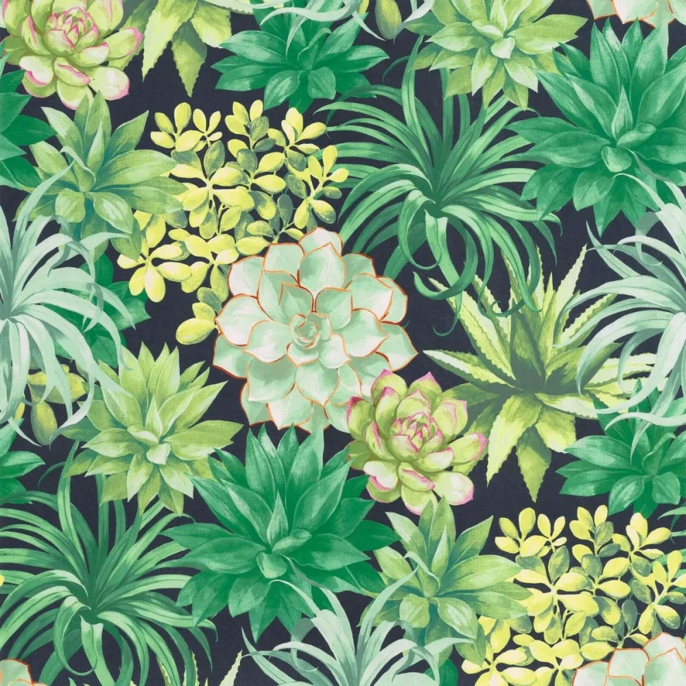 Botanica Echeveria Vert Jungle Bota85917396 Tapet | Stuvbutiken