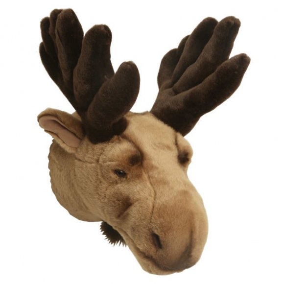 Älghuvud för vägg, älg
