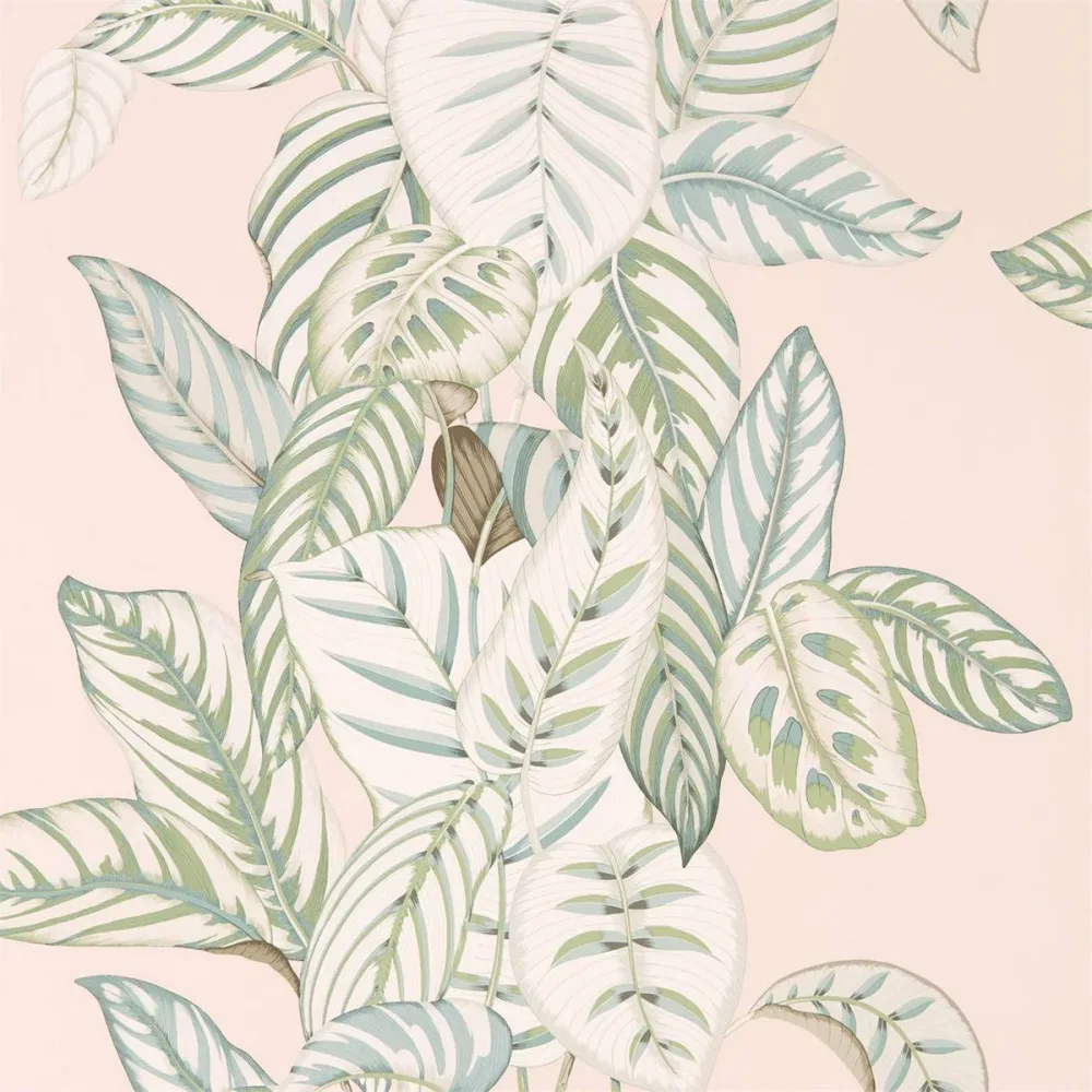Glasshouse Calathea Dglw216632 Tapet | Stuvbutiken