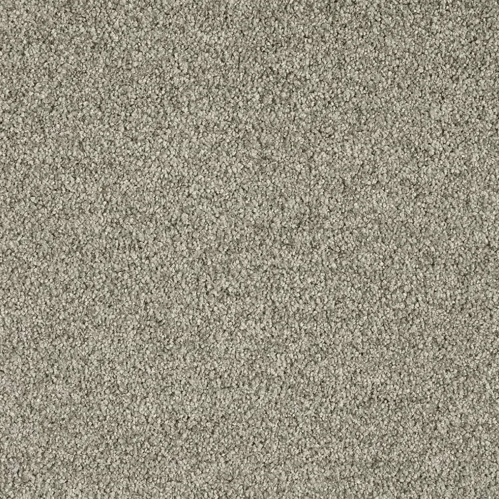Heltäckningsmatta Euphoria Moonshine 840 400cm
