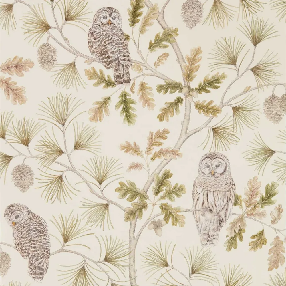Elysian Owlswick (wallpaper) Dysi216597 Tapet